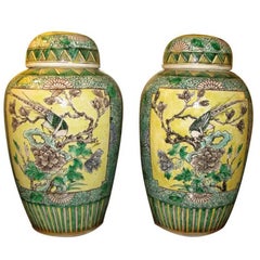 Pair of Chinese Bisque Jars with Lids