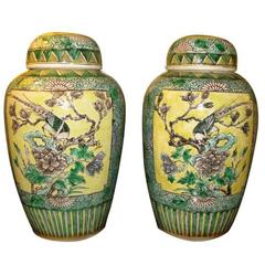 Pair of Chinese 19th Century Bisque Jars with Lids 12