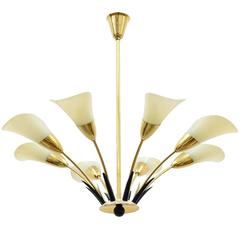 Exceptional Brass and Glass "Calla" Chandelier, 1950s 10