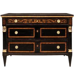Continental 19th Century Neoclassical Ebonized Fruitwood and Giltwood Chest