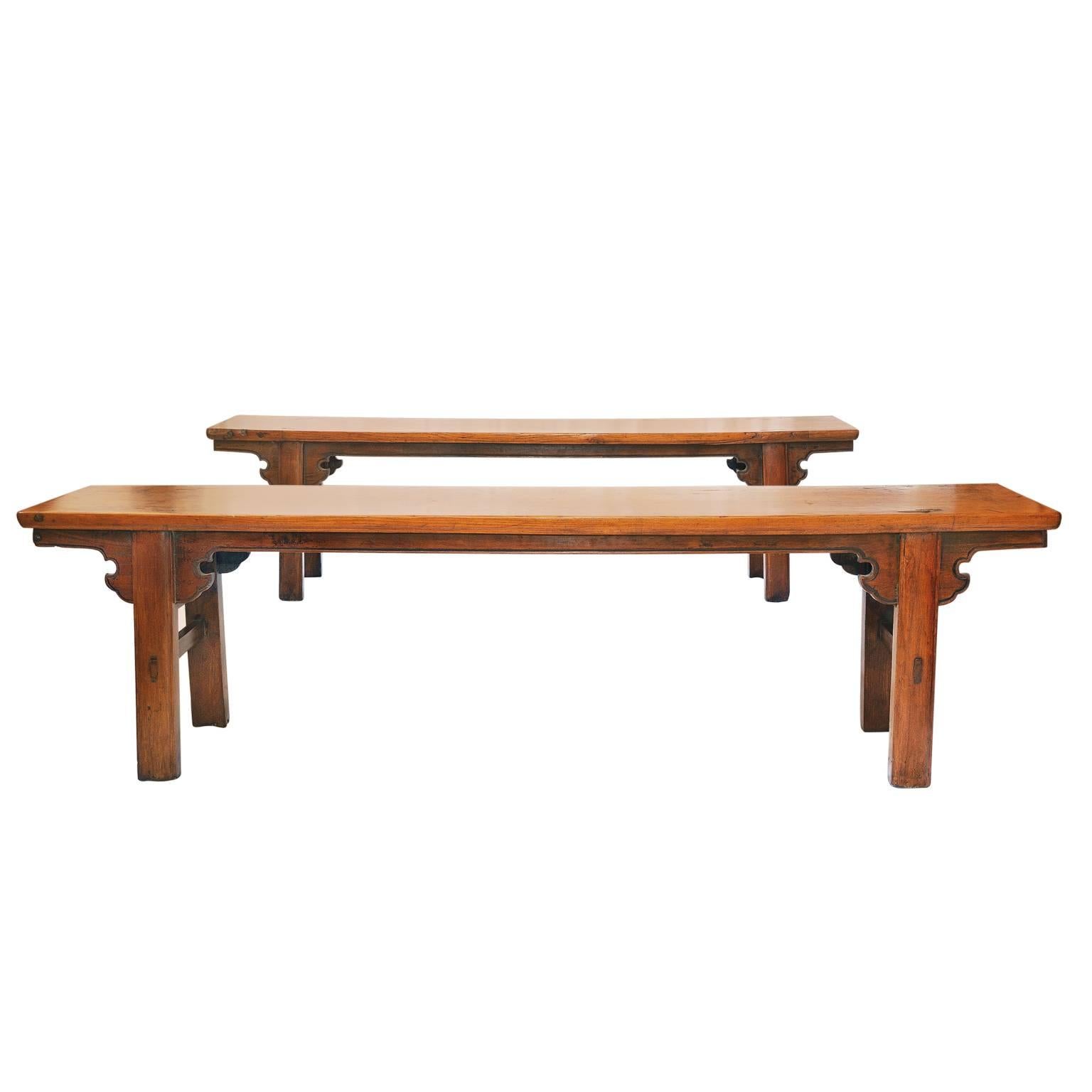 Pair of 19th Century Provincial Chinese Elm Benches, circa 1820 For Sale