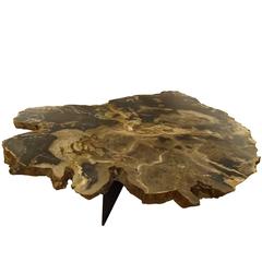 Grand Scaled Petrified Wood Coffee or Cocktail Table in the Style of Ado Chale 