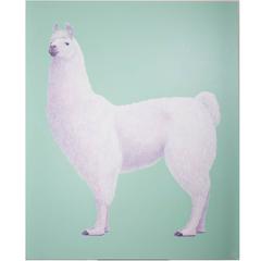 Lavender Llama