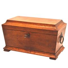 19th Century Tea Caddy of Walnut 4