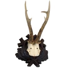 Antler Mount on Original Black Forest Carved Plaque