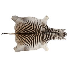 Genuine Large African Burchell Zebra Skin