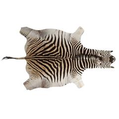 Genuine Large African Burchell Zebra Skin 5