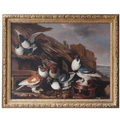 Antique 'Pigeons on a Roof' 17th Century Dutch Still Life