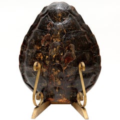 Vintage Brass Turtle Lamp