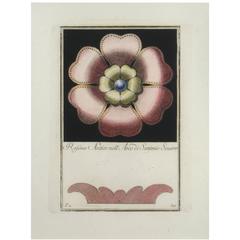 "Rosette from the Arch of Septimus Severus, " 1781