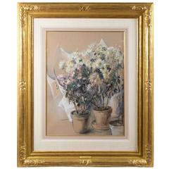 White and Pink Asters 4