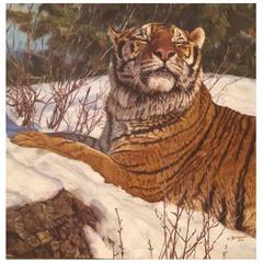 John Banovich, "Arrogance"
Tiger, " 2003, Oil on Canvas, Signed John Banovich, "Arrogance"
Tiger, " 2003, Oil on Canvas, Signed