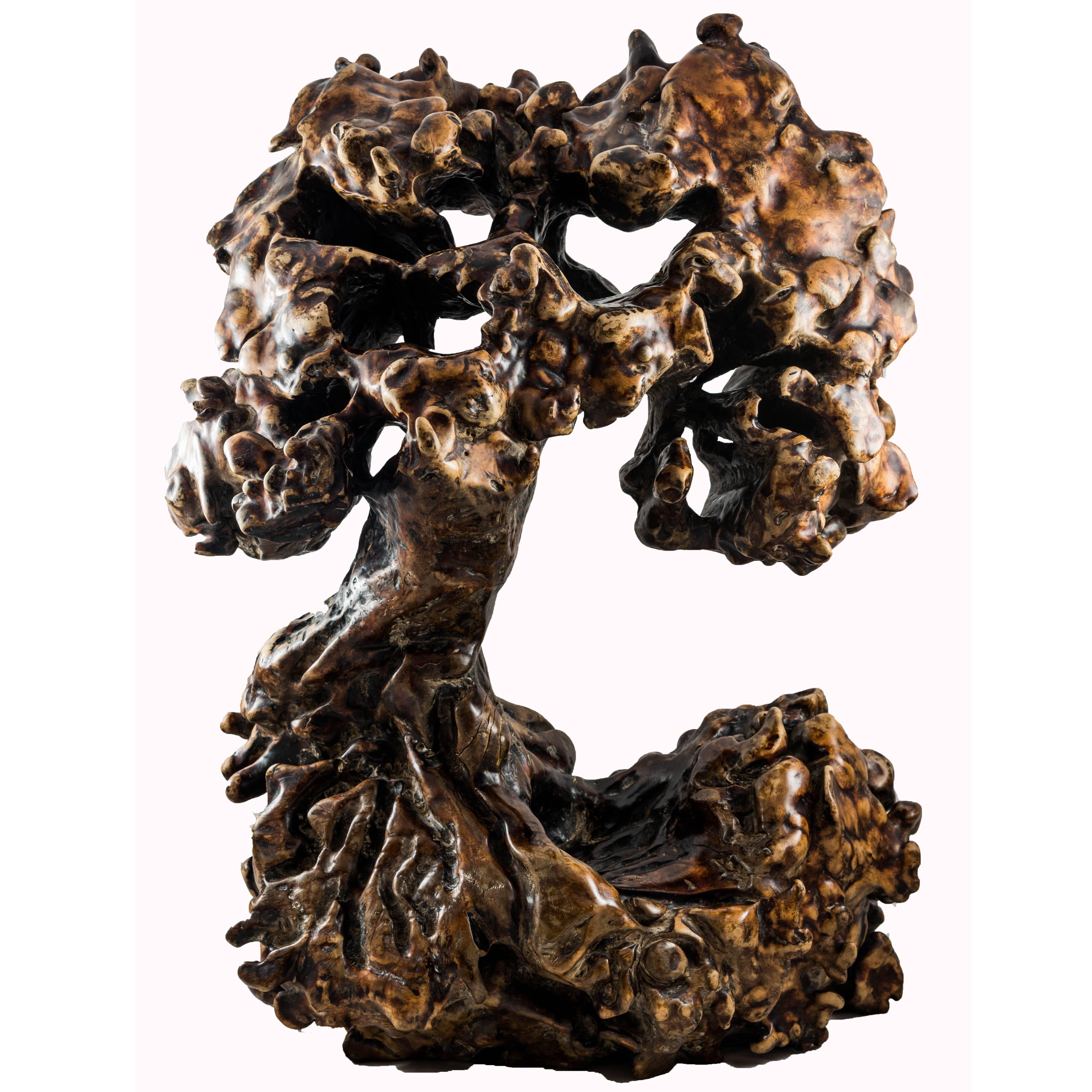 Sculpture, Natural Root Wood For Sale