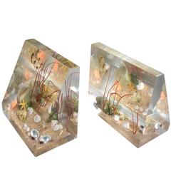Vintage Lucite Bookends