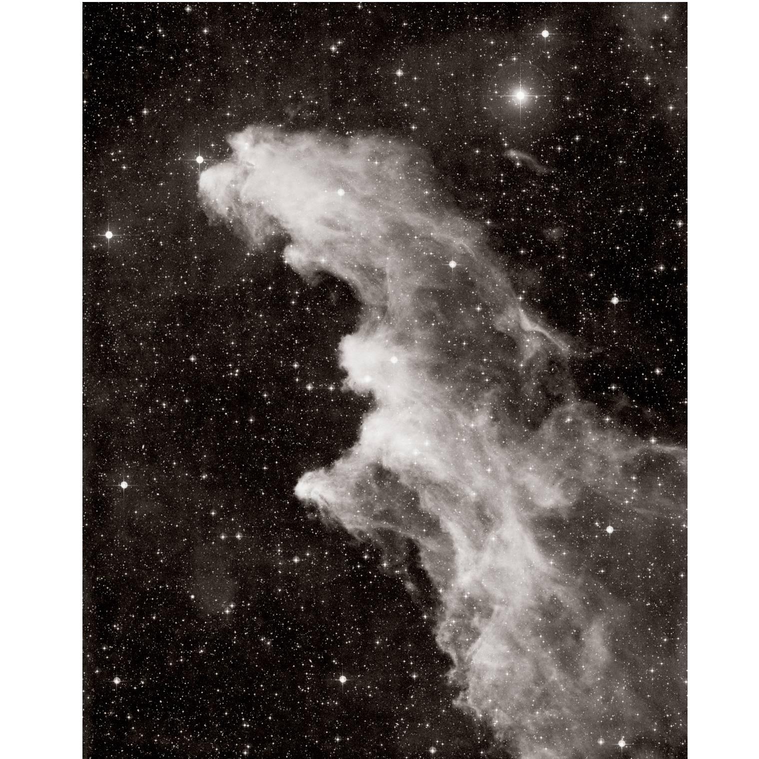 David Malin IC 2118, the Witch’S Head Nebula, in Eridanus 2010 Print For Sale