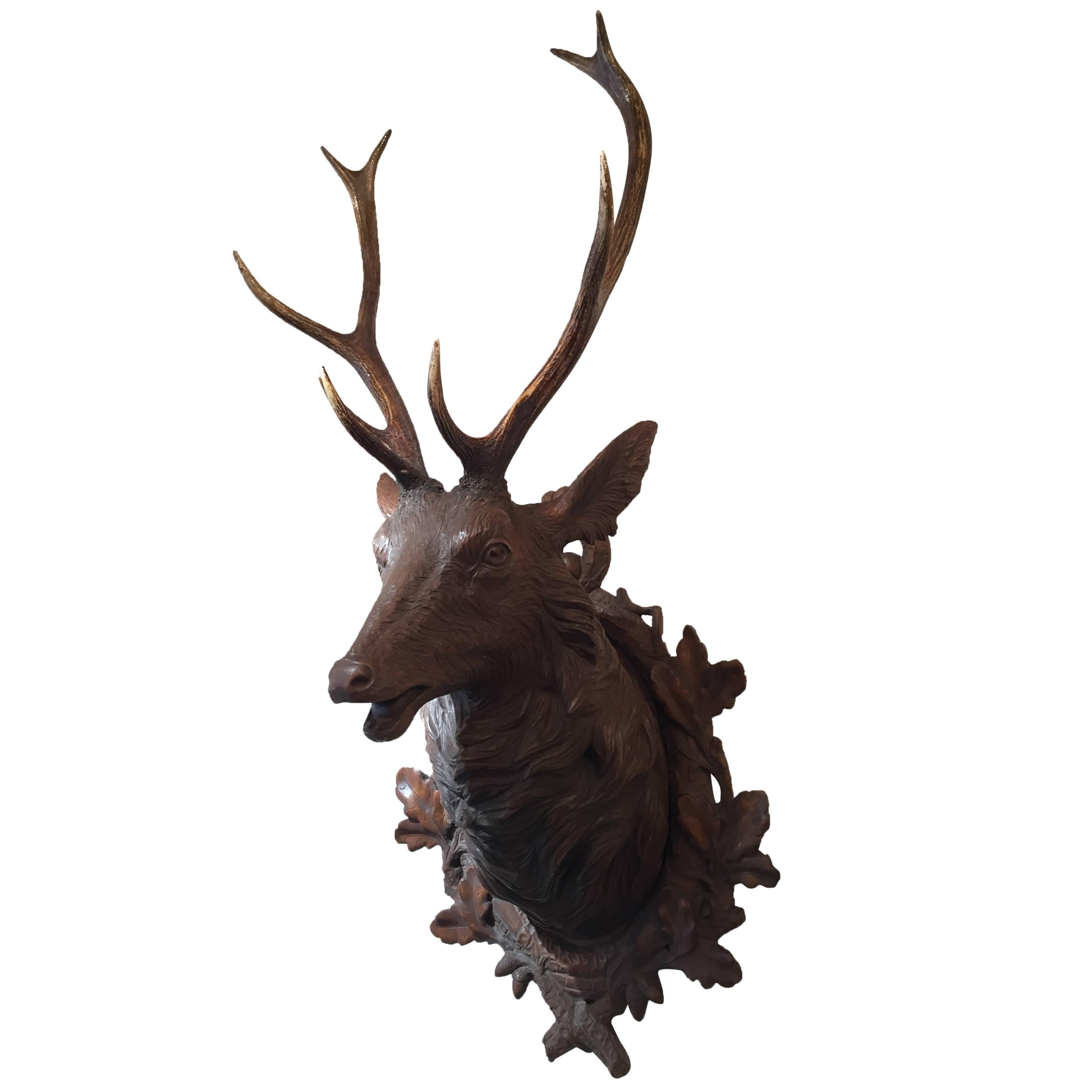 Late 19th Century Swiss "Black Forest" Life-Size Stag Head For Sale