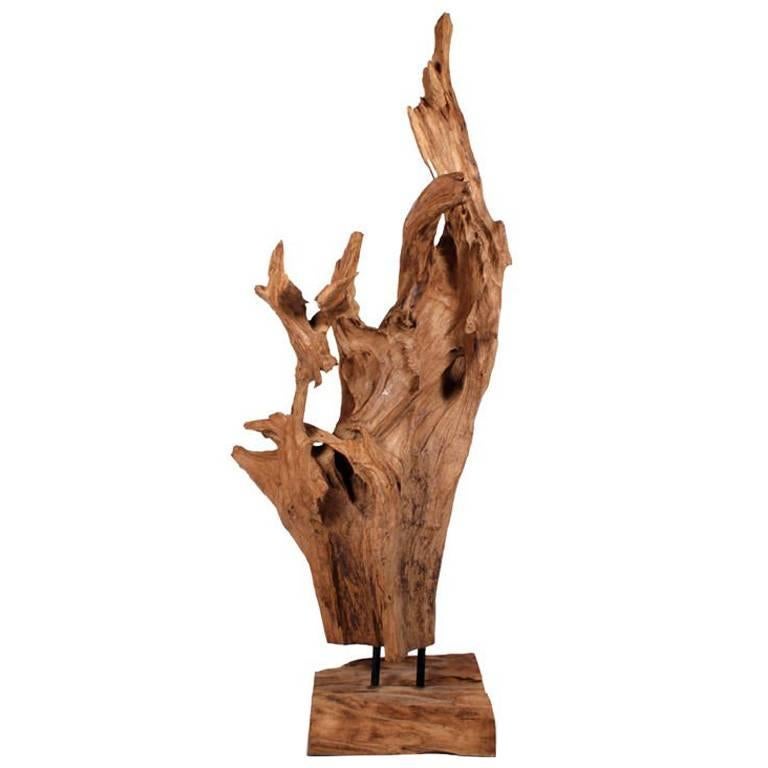 Wild Asian Teak Tree Root Standing Sculpture For Sale