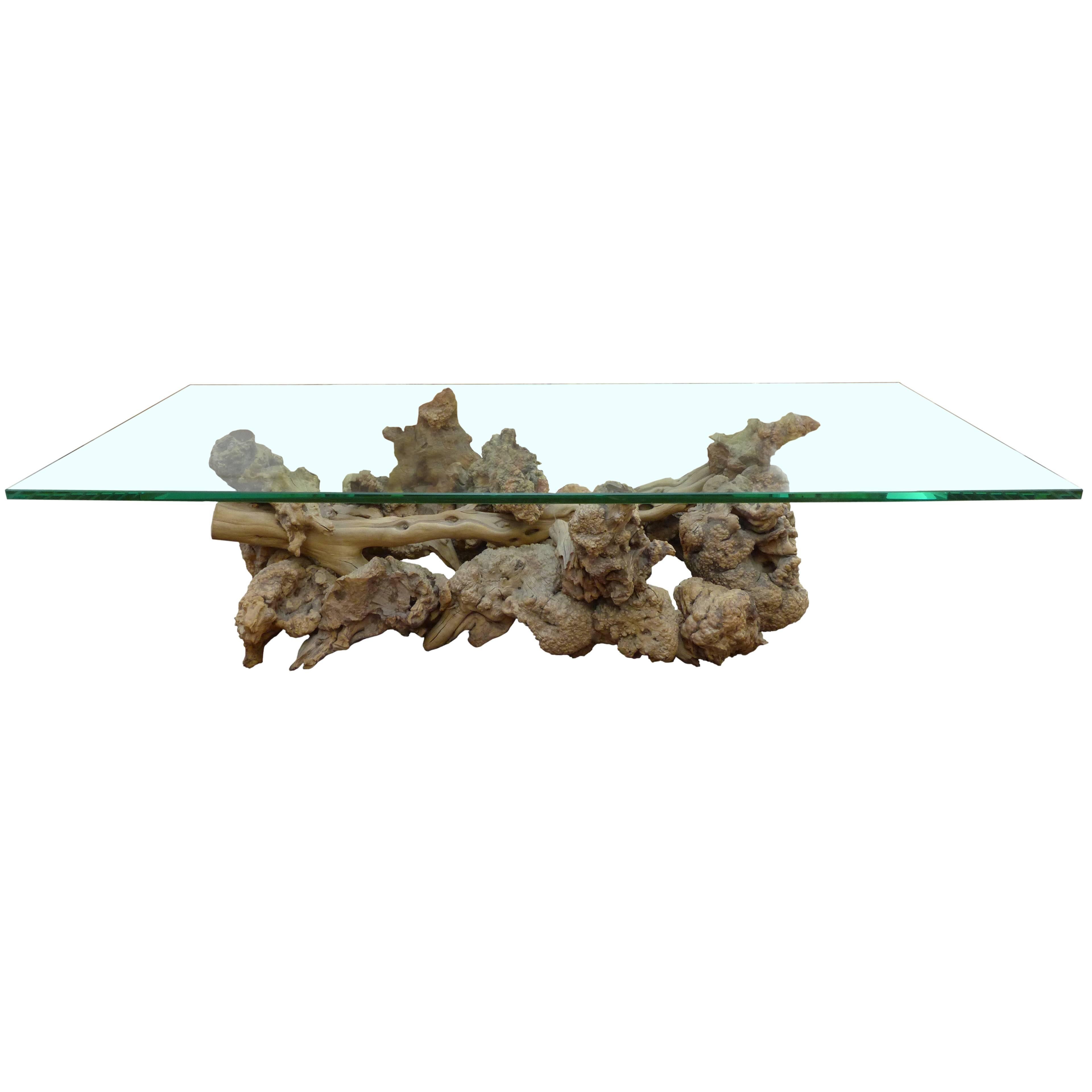 Burl and Driftwood Glass-Top Coffee Table