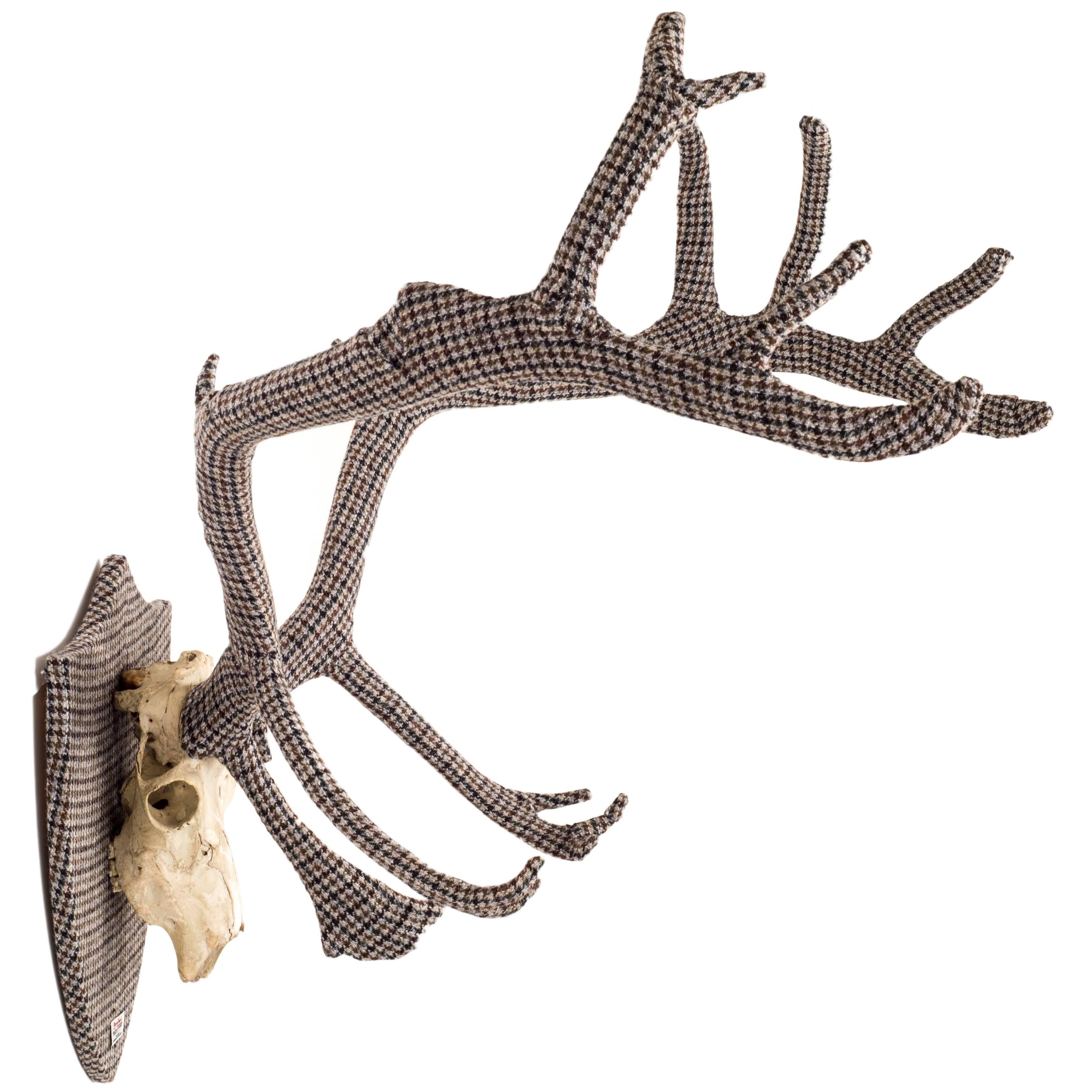 The Eclectic Set of Harris Tweed Wrapped Scottish Deer Antlers. For Sale