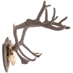 The Eclectic Set of Harris Tweed Wrapped Scottish Deer Antlers.