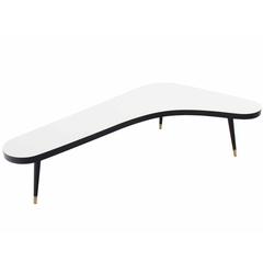 Organic Kidney Shape Coffee Table 4