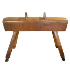 Wood and Leather Pommel Horse