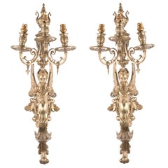 19th Century Ornate Winged Caryatid Wall Sconces