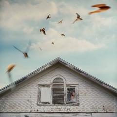 Paxton Maroney, Constructed Photography "The Barn Swallows" 2016