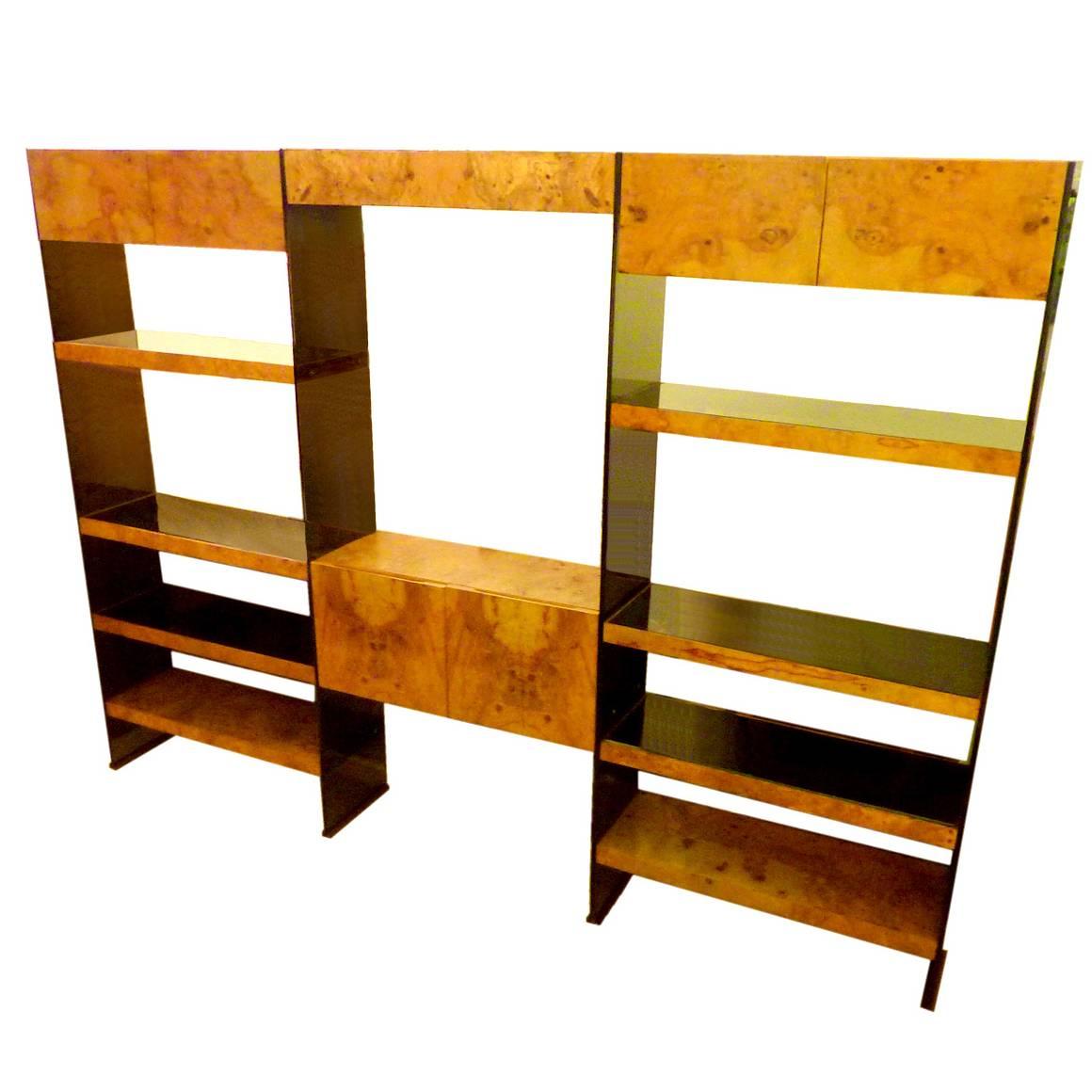 Smoked Lucite and Burl Olive Ash Wall Unit For Sale
