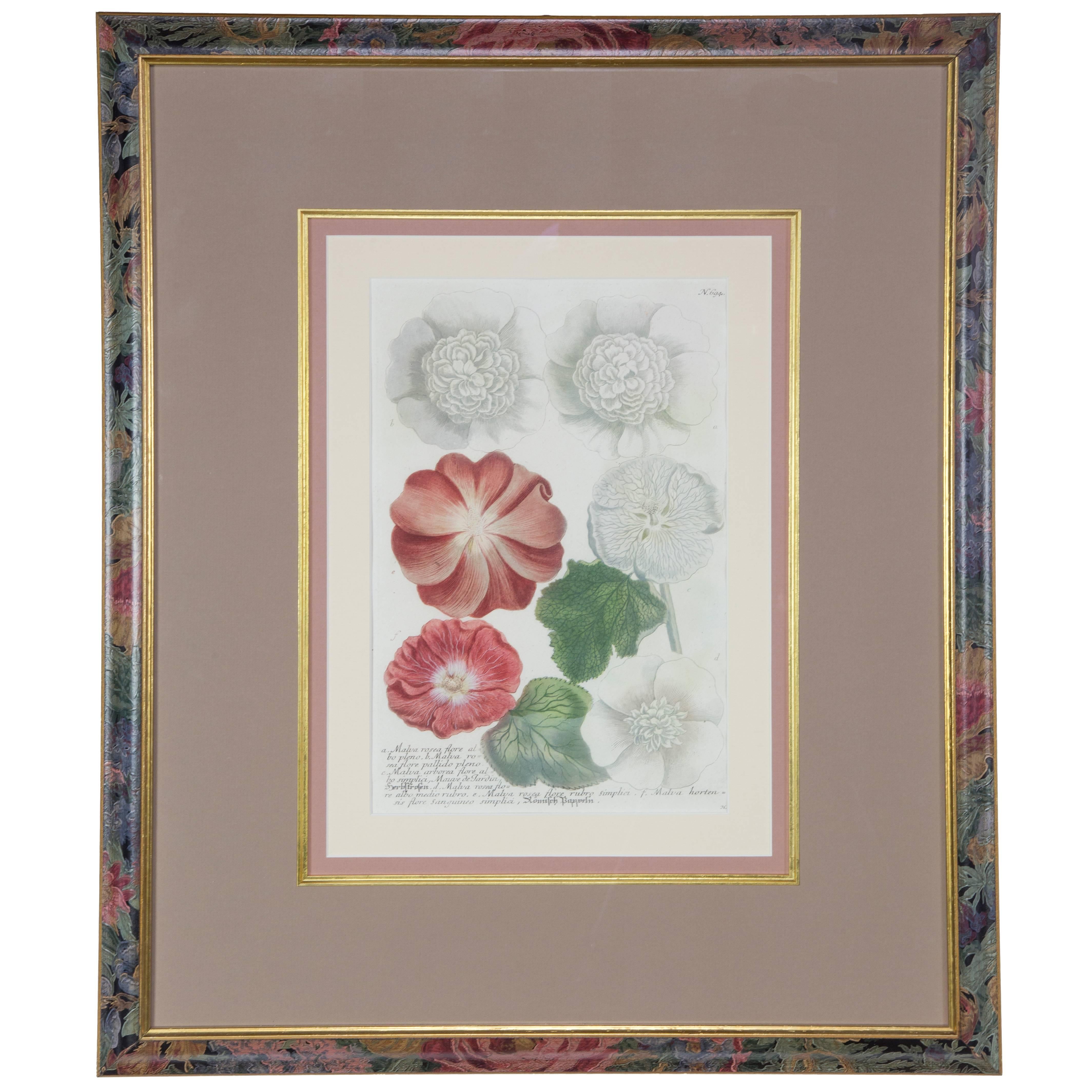 Hand-Colored Botanical Floral Framed Art Print Estate Find