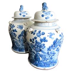 Pair of Chinese Blue and White Porcelain Ginger Jars