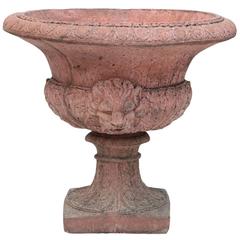 Stone Garden Plant, 21st Century 5