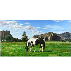 Richard McLean, American 1934-2014, Original Oil 'Oregon Pinto at Smith's Rock' 9