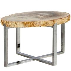 Large Petrified Wood Slab Accent Table