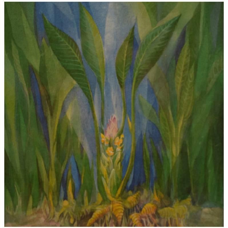 Watercolor on Paper, Artist Unknown, Mid-20th Century Flower with Large Leaves
