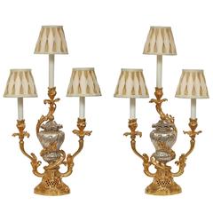 French 19th Century Louis XV St. Silvered Bronze and Ormolu Lamps