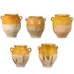 Collection of Antique Yellow  French Confit Pots