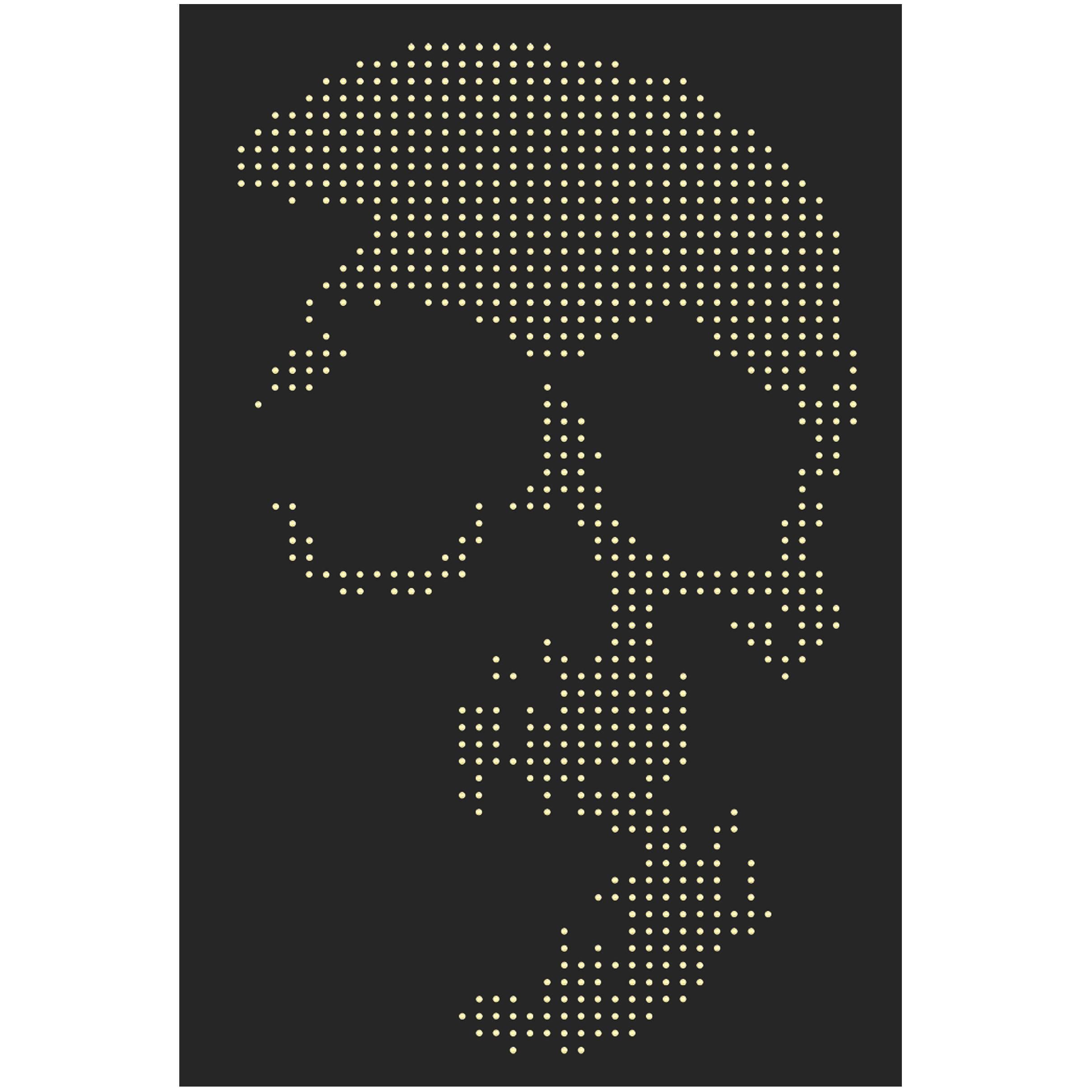 Skull Gun Bullets Panel in Black Plexiglass Exceptional Piece, 2016