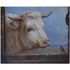 Charles Jones, English Artist, Oil on Canvas, White Bull