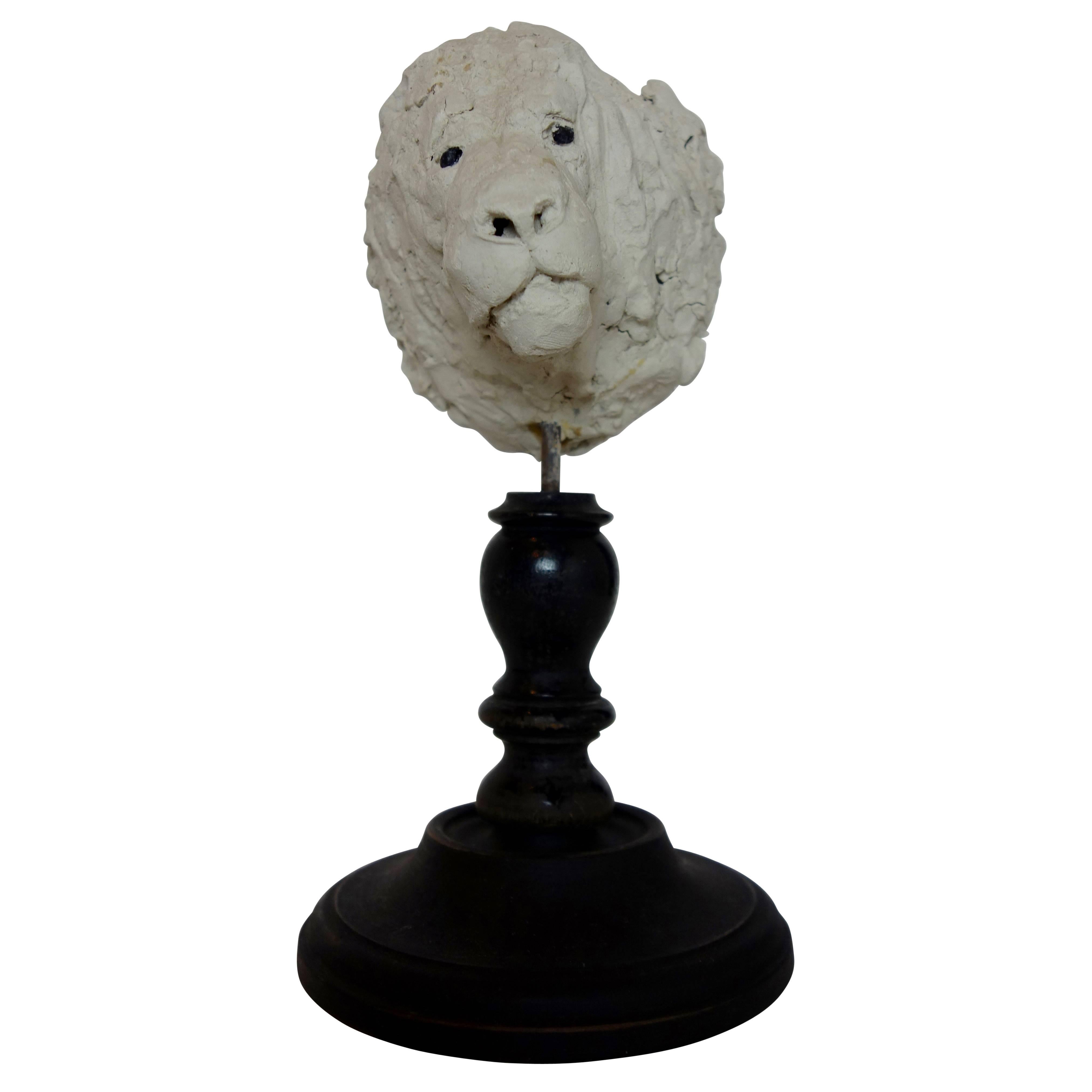 19th Century Plaster Lion Head Sculpture on Wood Stand