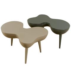 Set of Two Organic Modern Resin Side Tables from France