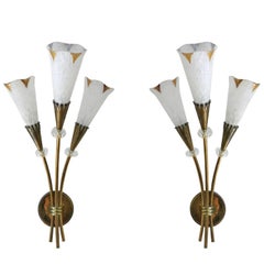 Pair of Calla Sconces