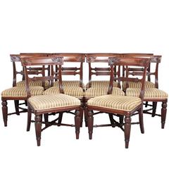 Set of Ten 19th Century William IV Mahogany Dining Chairs