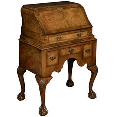 Queen Anne Style Burr Walnut Bureau