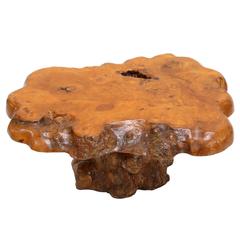Burl High Gloss Coffee Table 2