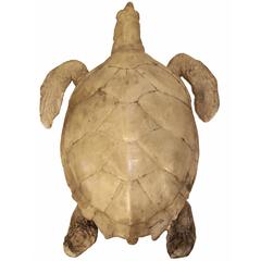 Large Vintage Resin Sea Turtle