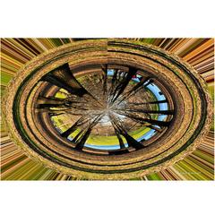 Nature's Perennial Cycle Art Photography 3