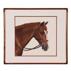 Gouache Horse Portrait by Jocelyn Sandor, American, 20th Century 5