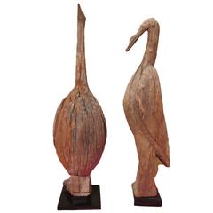 Early 20th Century "Sakalava" Birds from Madagascar