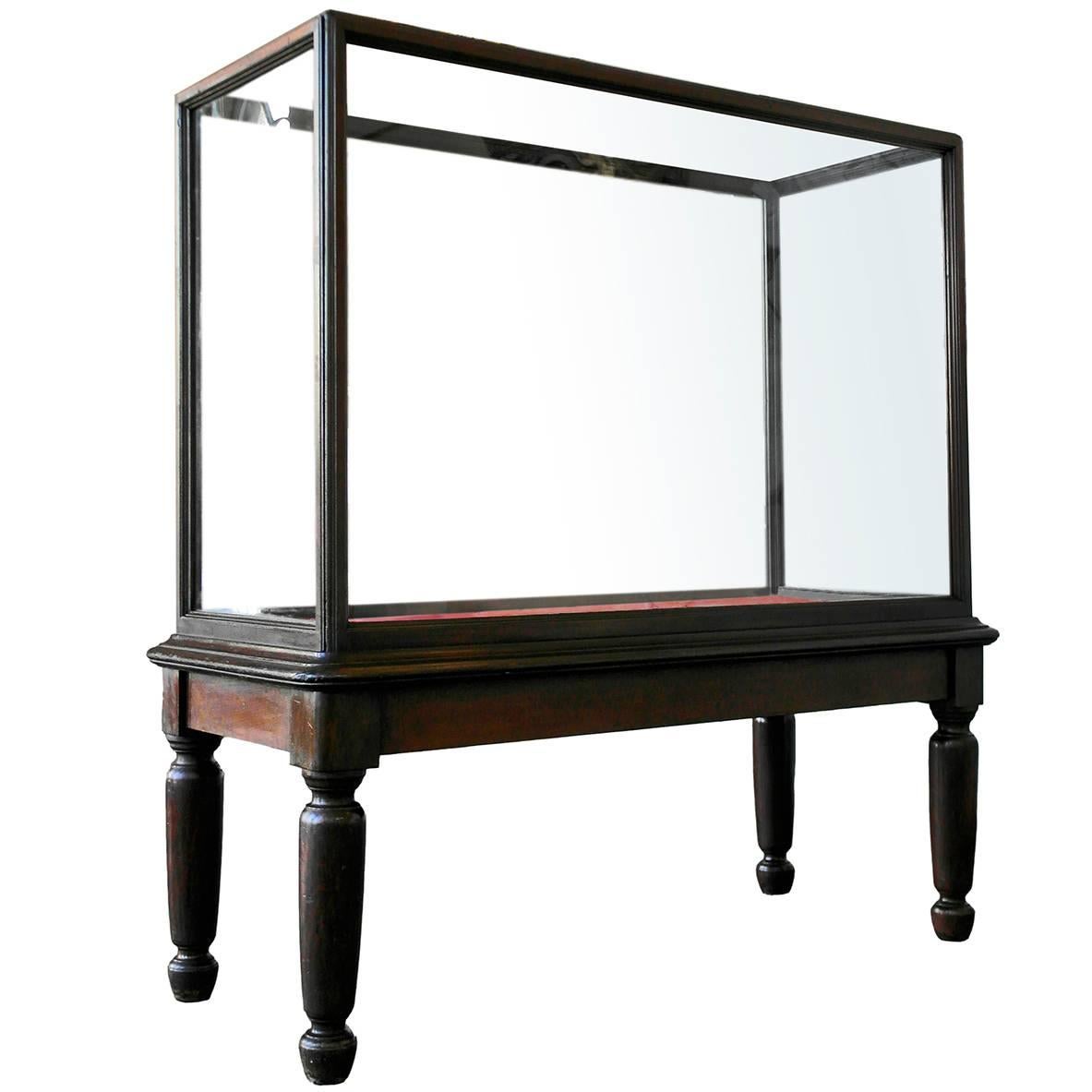 20th Century Monumental Glazed Museum Display Cabinet For Sale